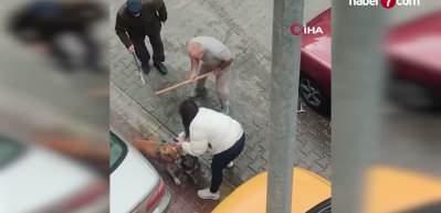 Pitbull saldırısında yeni g&ouml;r&uuml;nt&uuml;ler: Sahibinin yaptığı vahşeti getirdi