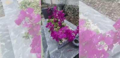 Safiye Soyman'dan y&uuml;rekleri burkan paylaşım:  Bayramda oğlunun mezarı başındaydı!