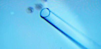 T&uuml;p bebek tedavisinde kritik nokta: Sağlıklı yaşam bir tercih değil, tedavinin par&ccedil;ası!