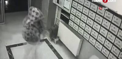 Ankara'da sahte sevgili &ccedil;etesine operasyon! 23 ş&uuml;pheli yakalandı