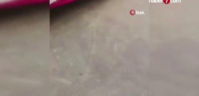 Bangladeş'te yolcu otob&uuml;s&uuml; nehre d&uuml;şt&uuml;: 24 &ouml;l&uuml;