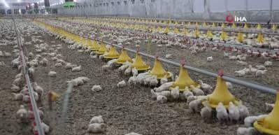 Devlet desteğinden faydalanan &uuml;retici ikinci &ccedil;iftliğini a&ccedil;tı 