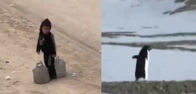 Gazze'de &ccedil;ocuk olmak... Bir penguen kadar konuşulmayacak