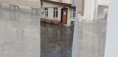 İstanbul'da bir kedi g&ouml;renleri hayrete d&uuml;ş&uuml;rd&uuml;: Camiinin kapısı a&ccedil;mayı &ouml;ğrendi!