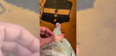 Selena Gomez'in eşi Benny Blanco kirli ayaklarının anahtarlığını yaptırdı!