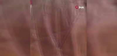 Başakşehir&rsquo;deki kazada ağır polis memurundan acı haber