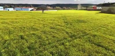 &Ccedil;ft&ccedil;iye verilen Devlet desteği &uuml;reticinin y&uuml;z&uuml;n&uuml; g&uuml;ld&uuml;rd&uuml;...