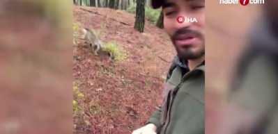 Denizli'de mantar aramak i&ccedil;in &ccedil;ıktığı doğada maymun buldu