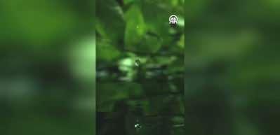 Emine Erdoğan'dan Uluslararası Sıfır Atık G&uuml;n&uuml; paylaşımı