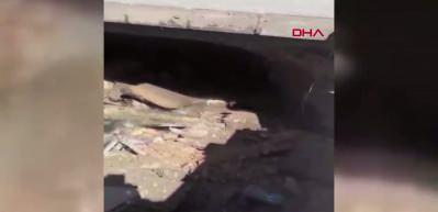 Siirt&rsquo;te kaldırım &ccedil;&ouml;kt&uuml;, ekipler harekete ge&ccedil;ti: Yol kapatıldı