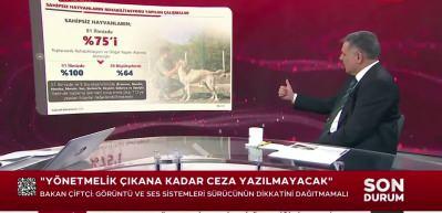 T&uuml;rkiye genelinde sokak hayvanlarının y&uuml;zde 75'i toplandı