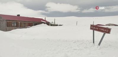 Ardahan'da yayla evleri kar altında kaldı
