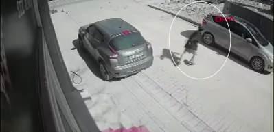 23 su&ccedil; kaydı olan ş&uuml;pheli, sokak ortasında ara&ccedil;lara saldırdı: Cezaevine g&ouml;nderildi