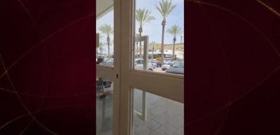 Arıların istila ettiği İsrail'de u&ccedil;ak seferleri iptal edildi