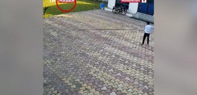 Hindistan'da akılalmaz olay! Maymunu kovalamak isterken canından oldu