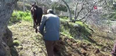 Aydın&rsquo;da k&ouml;yler yaşlanıyor: Tarım yaşlıların omzunda kaldı