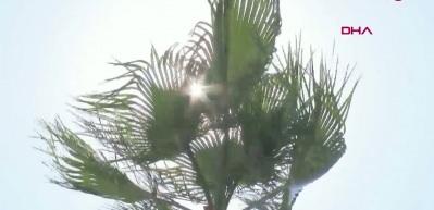 2026 İ&ccedil;in k&uuml;resel ısınma uyarısı yapıldı ve El Nino sıcaklıkları kapıda...