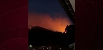 Japonya&rsquo;da orman yangını alarmı: 200 hektar alan k&uuml;le d&ouml;nd&uuml;