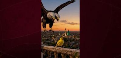 Konyaspor'dan Fenerbah&ccedil;e'ye g&ouml;ndermeli paylaşım