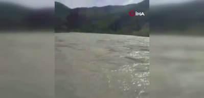 Nehirden balık değil tosun &ccedil;ıktı