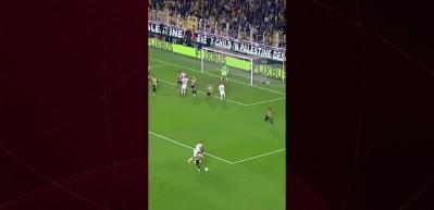 Fenerbah&ccedil;e'nin sağ kanat oyuncusu Dorgeles Nene'de, sporcu fıtığı tespit edildi.