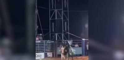 Brezilya'da rodeo arenasında feci &ouml;l&uuml;m: Boğanın altında kaldı