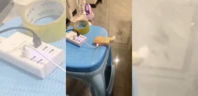 Komşusunun g&uuml;r&uuml;lt&uuml;s&uuml;nden bıktı! Şikayet etmek yerine bakın ne yaptı