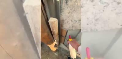 Annesini kaybeden kuzunun sahibine koştuğu anlar sosyal medyada g&uuml;ndem oldu!