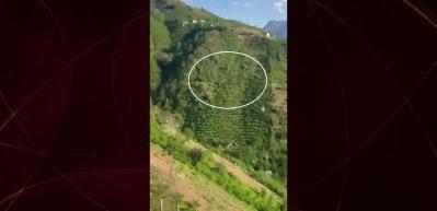 Giresun'da u&ccedil;urumdan yuvarlanan ara&ccedil; paniğe neden oldu