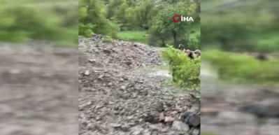 Tunceli'de ayağını burkan vatandaşı jandarma sırtında taşıdı