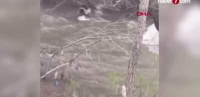 Sivas'ta anne ayının akıntıya kapılan yavrusunu kurtarma m&uuml;cadelesi