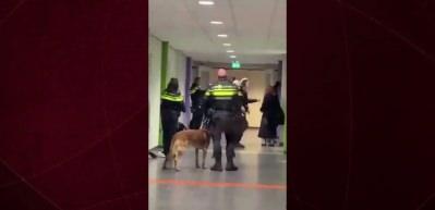 Barbar Avrupa yine sahnede: Filistinli hamile kadını yerden yere vurdular!