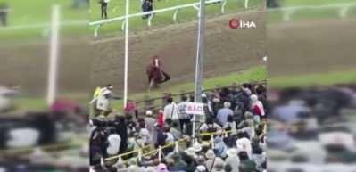 Japonya&rsquo;daki festivalde at faciası: Kalabalığın arasına daldı, 6 kişi yaralandı