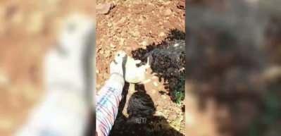Ot sandı, yavru tavşan &ccedil;ıktı! &Ccedil;ift&ccedil;inin konuşması sosyal medyayı salladı