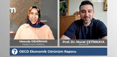 OECD'den korkutan savaş raporu: Kararlar ertelenebilir!