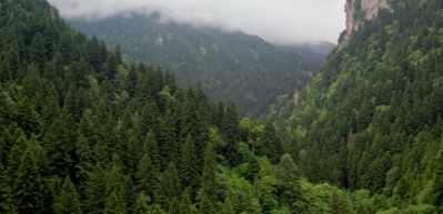 Trabzon K&uuml;lt&uuml;r Yolu Festivali coşkusu başladı