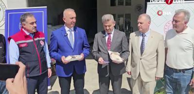 T&uuml;nelde &uuml;retilen istiridye mantarının ilk hasadı ger&ccedil;ekleştirildi