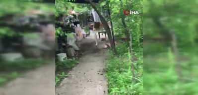 Ceviz bulamayınca kabı yere fırlattı: Sincap ile vatandaşın diyaloğu g&uuml;l&uuml;msetti
