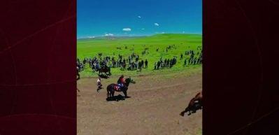 At yarışında skandal g&ouml;r&uuml;nt&uuml;ler: Koşmuyor diye acımasızca vurdular