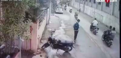 Hindistan'da dehşet anları: Kontrolden &ccedil;ıkan boğa motosikletli kadını bi&ccedil;ti