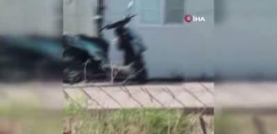Cani koca eşini &ccedil;ocuklarını g&ouml;z&uuml; &ouml;n&uuml;nde bı&ccedil;akla yere yatırıp d&ouml;vd&uuml;