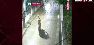 Hindistan'da dehşet anları kamerada: Motokuryeye leopar saldırdı
