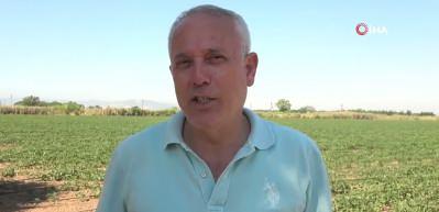 Karpuz &uuml;reticisinden isyan: "20 milyon lira zarar ettim"