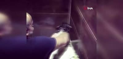 Sıcaktan bunalan ke&ccedil;iyi resmen &ccedil;itileyerek yıkadı! O anlar kamerada 