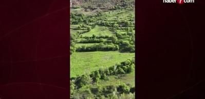 Bakan Yumaklı "hayırlı olsun" diyerek m&uuml;jdeledi: Ekonomiye 107 milyon liralık dev katkı!