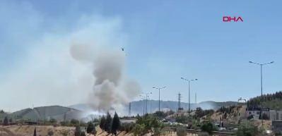 İzmir'de otluk alanda &ccedil;ıkan yangın, ormana sı&ccedil;radı