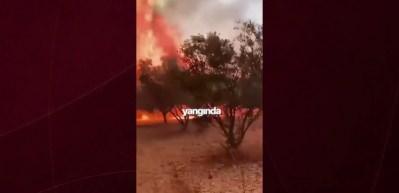  Bakan Yumaklı: Muğla'da yanan 1400 hektarlık alanı yeniden ağa&ccedil;landırdık