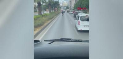Motosiklet s&uuml;r&uuml;c&uuml;s&uuml; yaptığı hareketle g&ouml;n&uuml;lleri fethetti