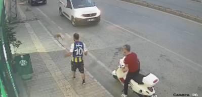 Samsun'da kediye tekme atan vicdansız şahıs yakalandı