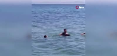 Şark&ouml;y'de denize girenlerin arasına yavru yunus daldı: Eğlenceli anlar kamerada